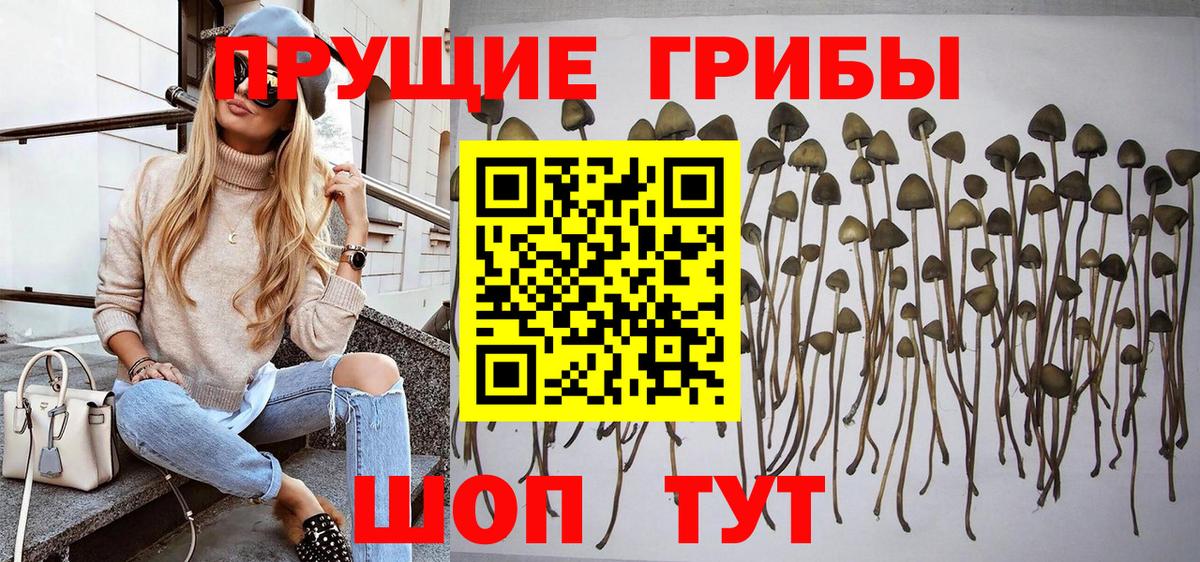 Набережные Челны  Галлюциногенные грибы GOLDEN TEACHER  Вход с VPN 
